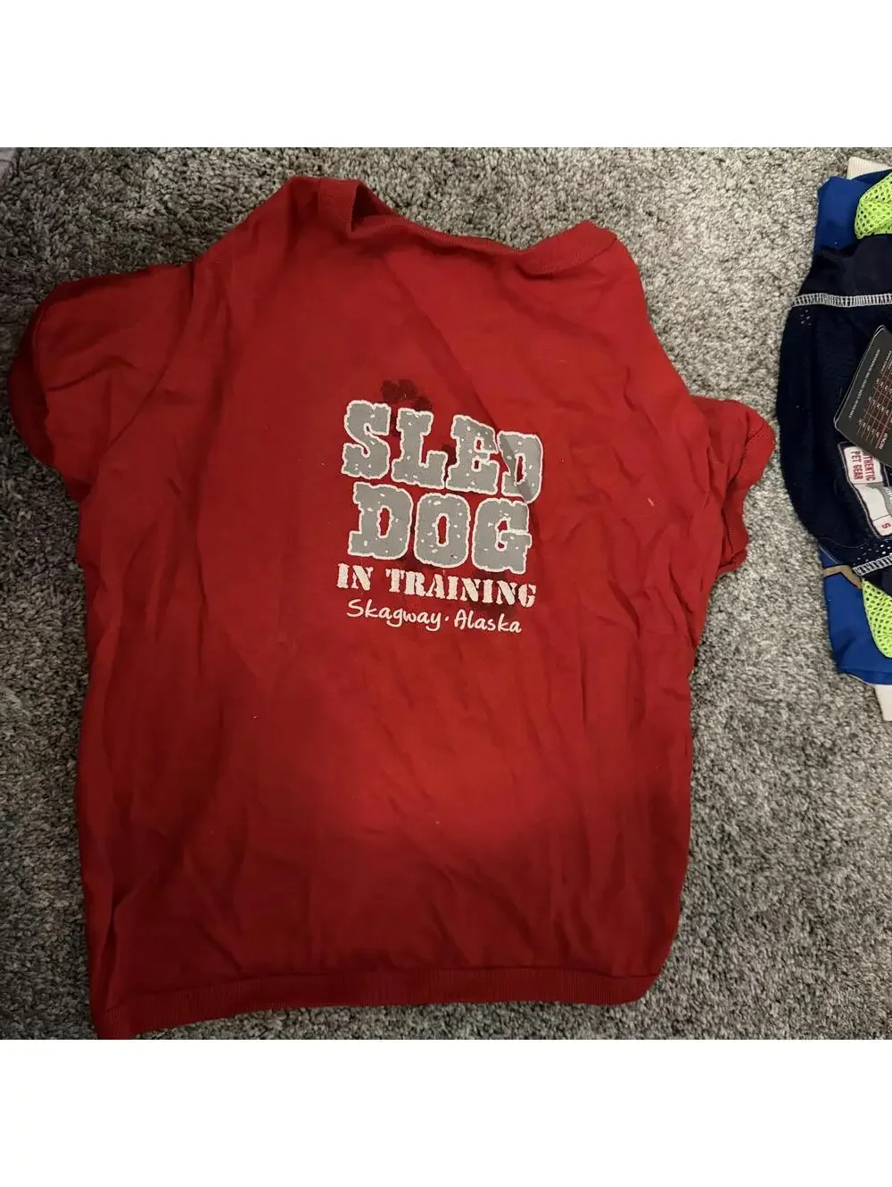 Prairie Mountain Red Sled Dog In Training T-Shirt Size Large